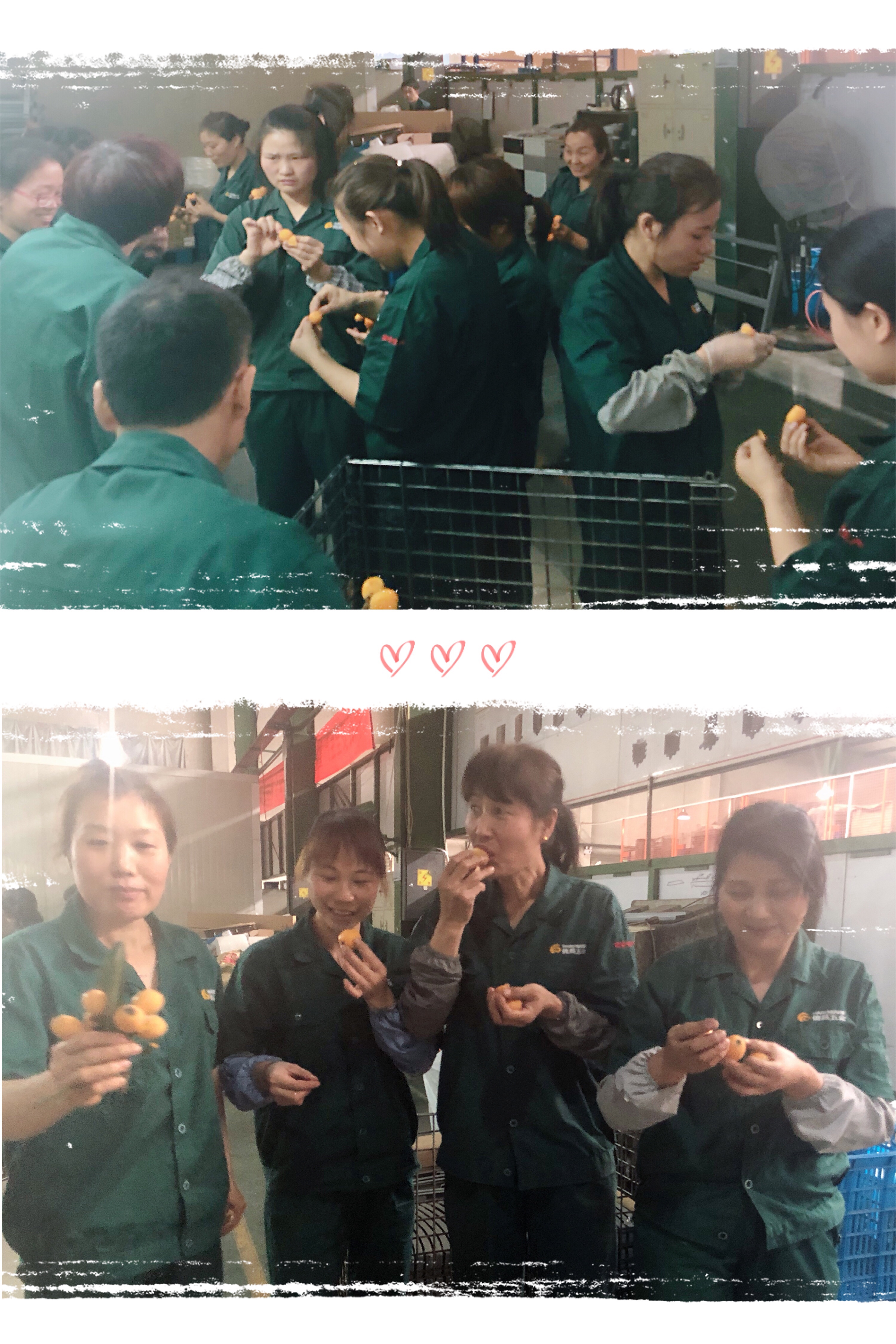 微信圖片_20190529154245.jpg